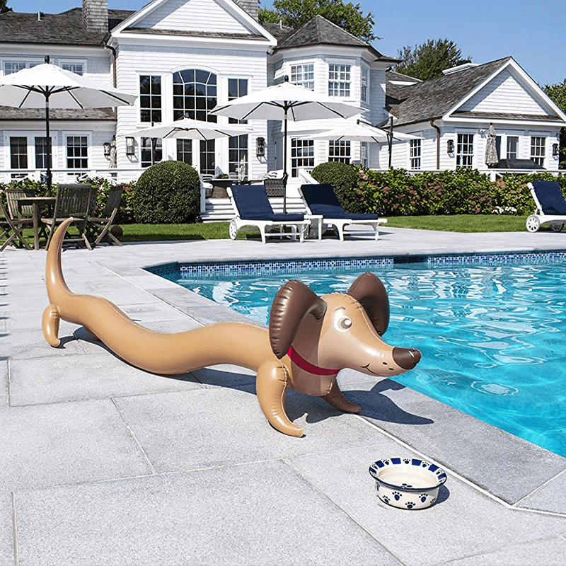 Doogie Inflatable Doodle Ride-On Pool Float — photo 3