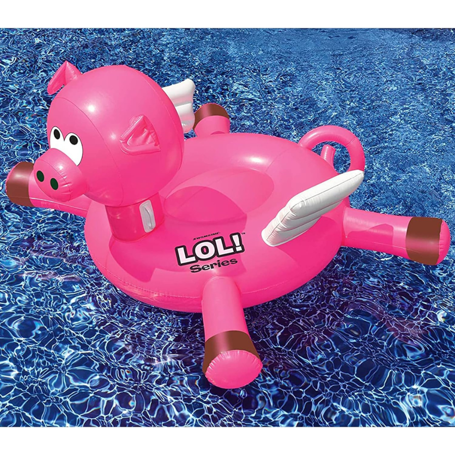 Flying Pig Float — photo 3