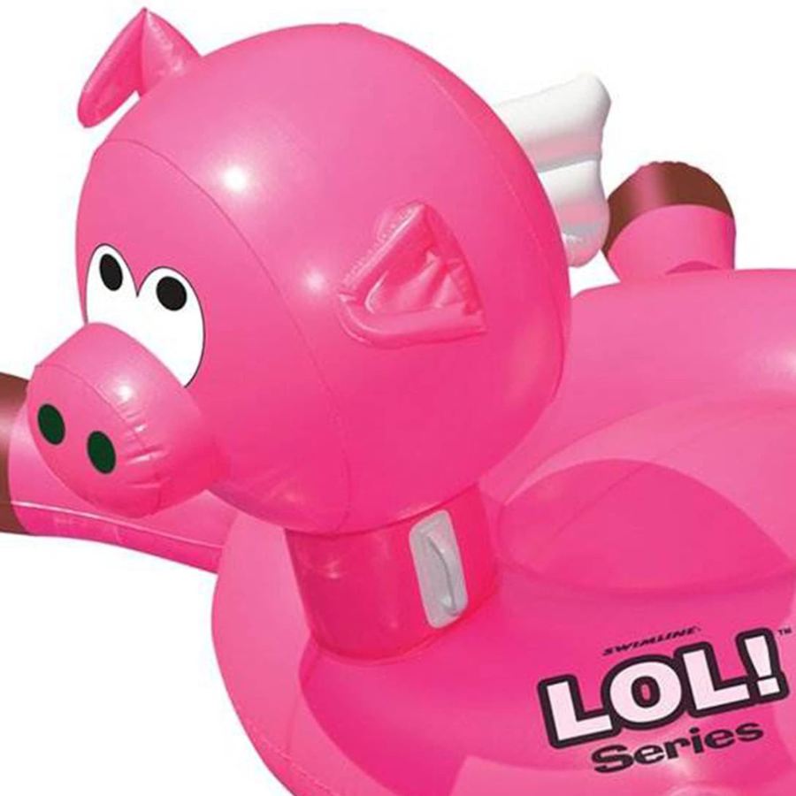 Flying Pig Float — photo 4