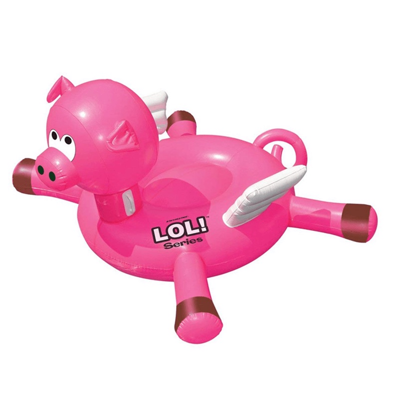 Flying Pig Float
