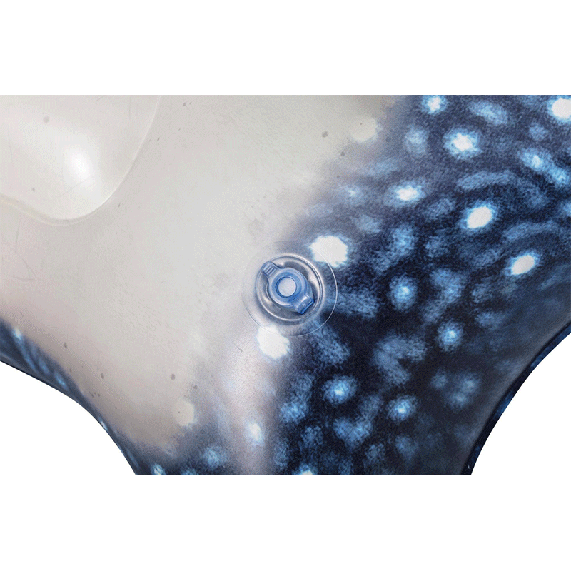 H2OGO! Whaletastic Wonders 2-Person Kids Ride-On Pool Float — photo 2