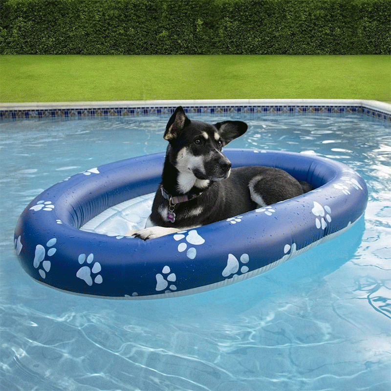 Pet Ride-On Pool Float (Up 100 Pounds) — photo 2