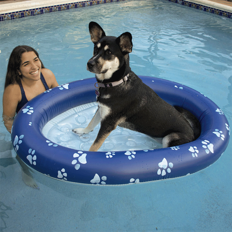 Pet Ride-On Pool Float (Up 100 Pounds) — photo 3