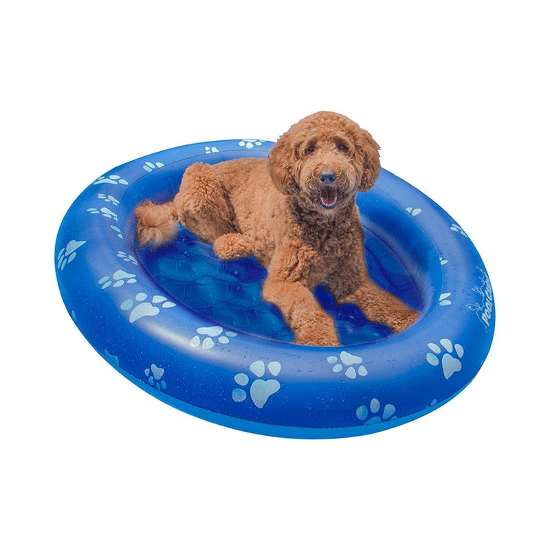Pet Ride-On Pool Float (Up 100 Pounds)