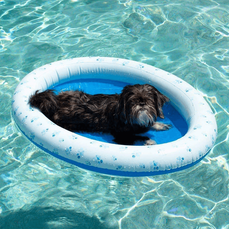 Pool Candy Inflatable Ride-On Pool Float for Pets (Up to 35 Pounds) — photo 2