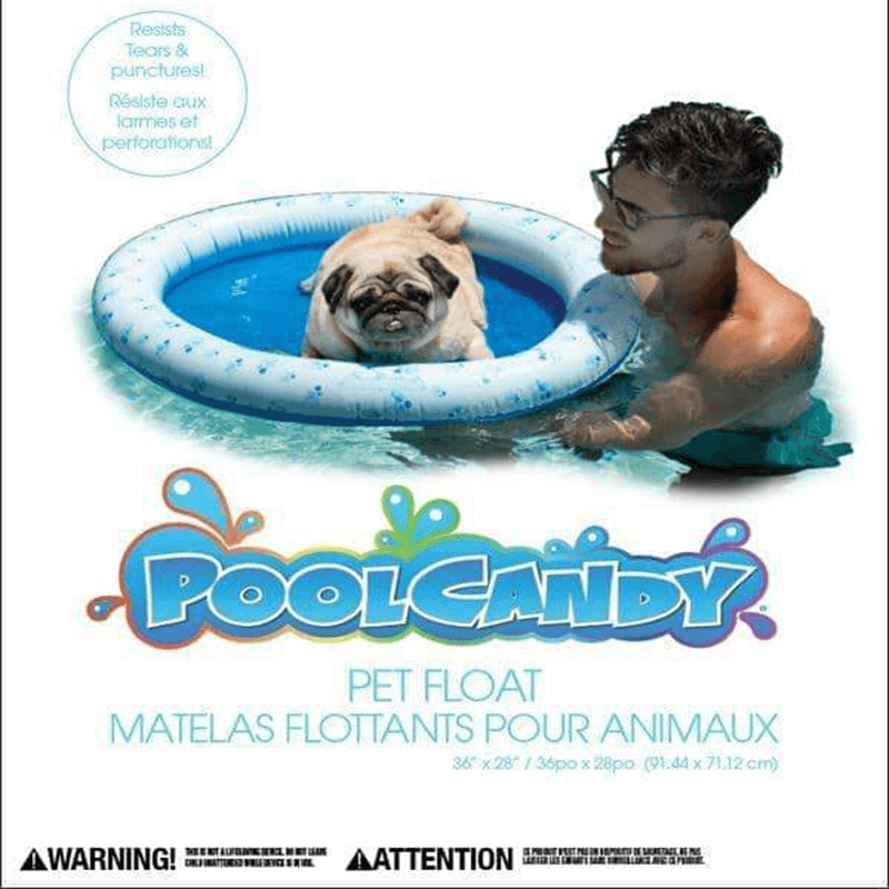 Pool Candy Inflatable Ride-On Pool Float for Pets (Up to 35 Pounds) — photo 3