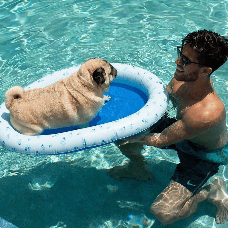 Pool Candy Inflatable Ride-On Pool Float for Pets (Up to 35 Pounds) — photo 4