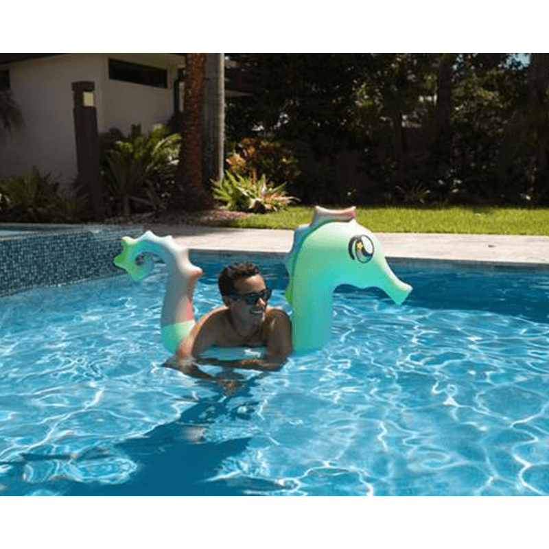 Pool Candy Ride-On Seahorse Pool Noodle — photo 4